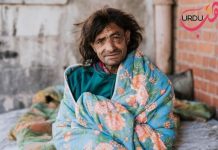 نقش فریادی Urdu Drama Story