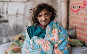 نقش فریادی Urdu Drama Story