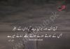 آج کا شعر Sad Poetry In Urdu