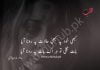 آج کا شعر Urdu Poetry