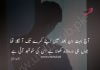 آج کا شعر Jaun Elia